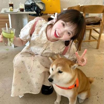 花儿绽放